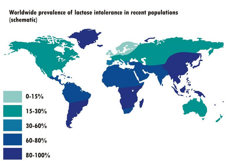 Anteil der Bevölkerung mit Lactoseintoleranz in Abhängigkeit von der geographischen Herkunft